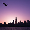 An Evening Scene of Chicago