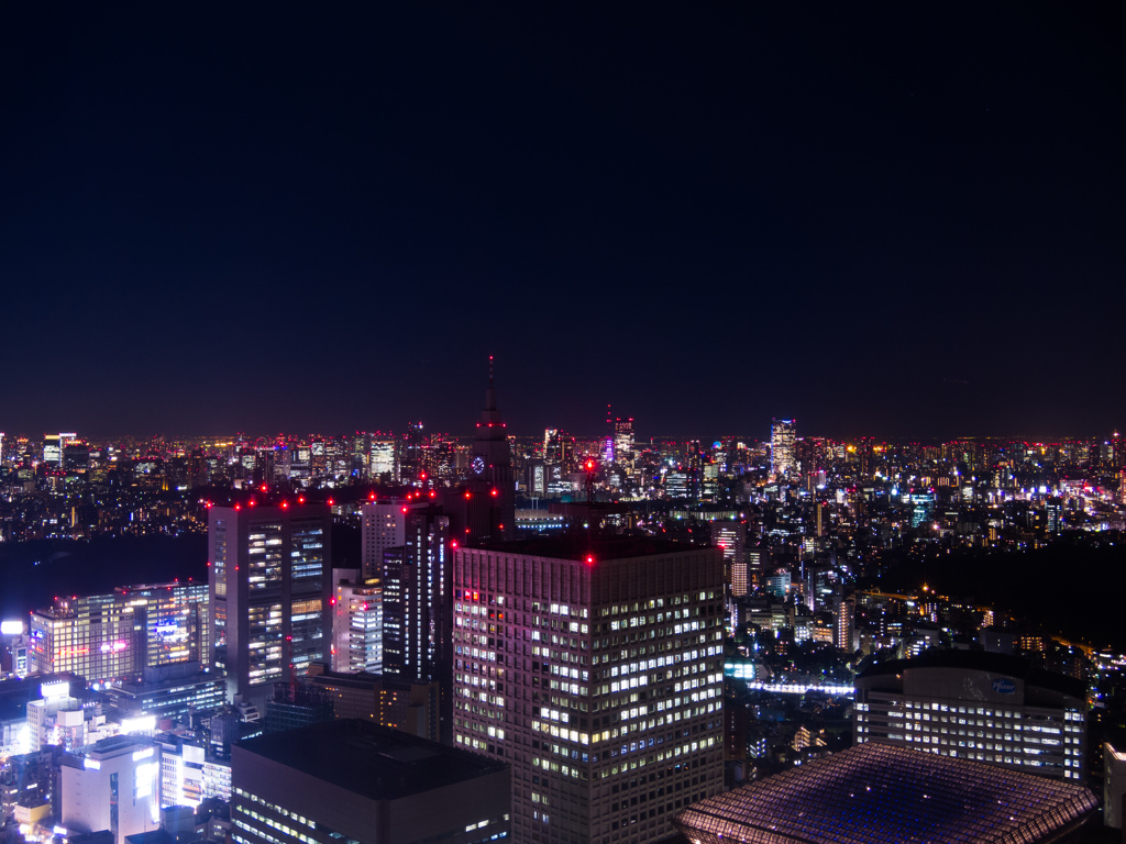 Night View from Tokyo Metropolitan Gover