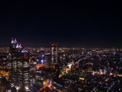 Night View from Tokyo Metropolitan Gover