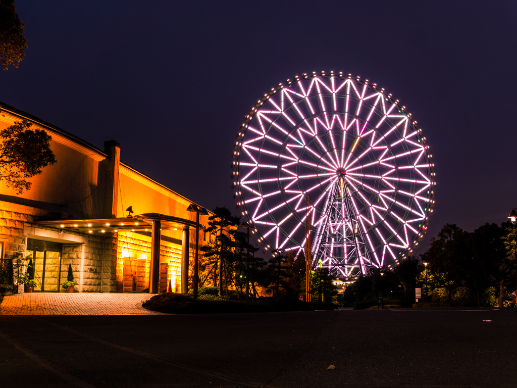 葛西臨海公園 ダイヤと花の大観覧車4