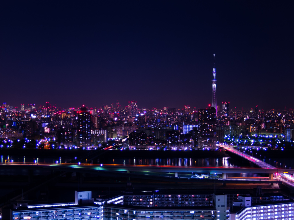 Night View from Tower Hall Funabori