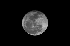 01_NIKON D3200_300.0 mm f-4.0_420 mm_1-5