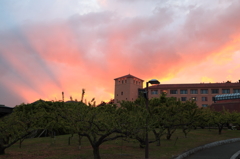 Aglowing with the sunset