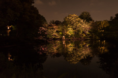 旧古河庭園2