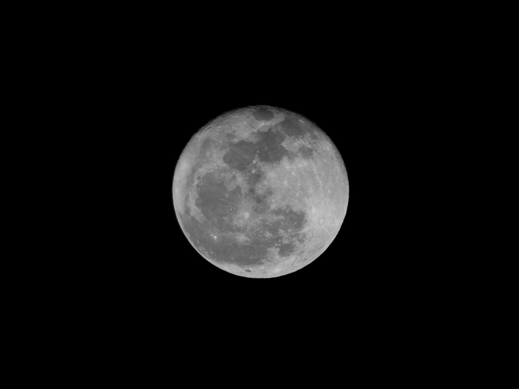 03_E-M1_OLYMPUS M.75-300mm F4.8-6.7 II_3