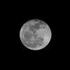 03_E-M1_OLYMPUS M.75-300mm F4.8-6.7 II_3