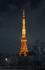 The Tower of Tokyo 1