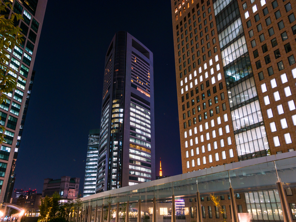 汐留の夜の風景9
