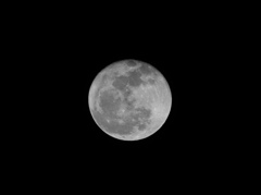 04_E-M1_LUMIX G VARIO 100-300-F4.0-5.6_3