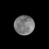 04_E-M1_LUMIX G VARIO 100-300-F4.0-5.6_3