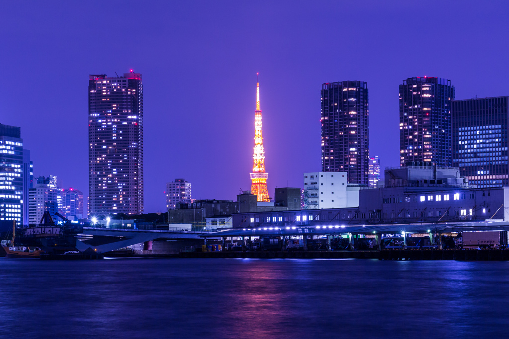 隅田川夜景2