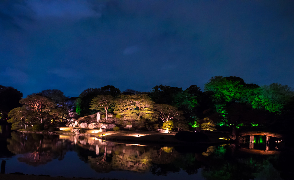 六義園 2014 春1