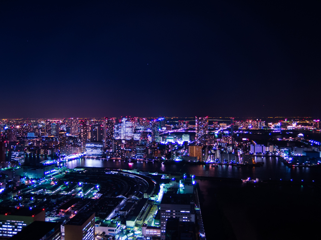 Night View from Caretta Shiodome