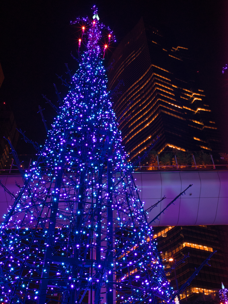Caretta Illumination 2014 (2)