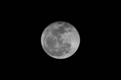 02_NIKON 1 V1_300mm f-4D_420 mm_1-200 秒 