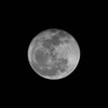 02_NIKON 1 V1_300mm f-4D_420 mm_1-200 秒 