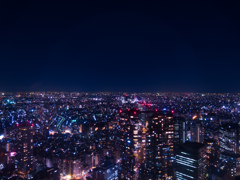 Night View from Tokyo Metropolitan Gover