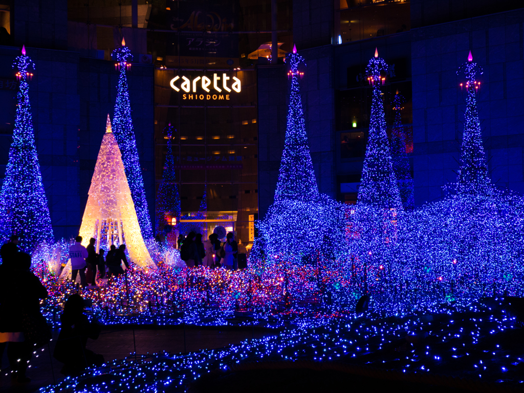 Caretta Illumination 2014 (3)