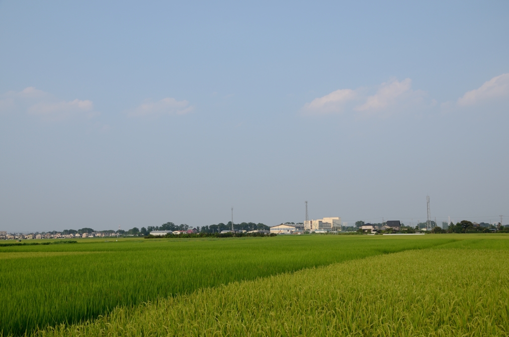 川越市の広域農道にて