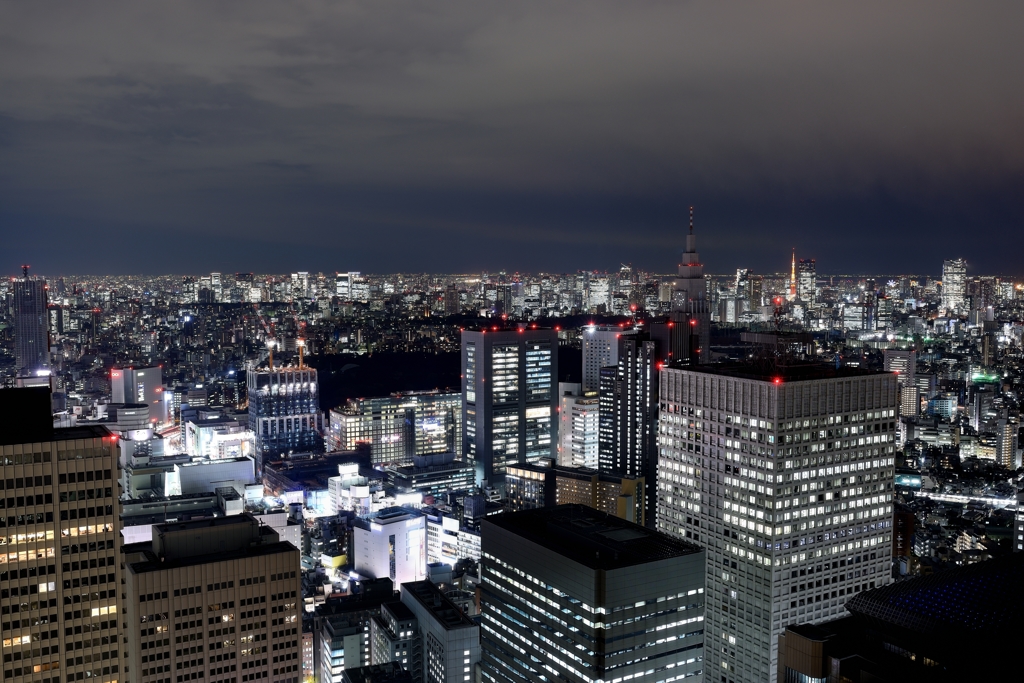 都庁展望室より