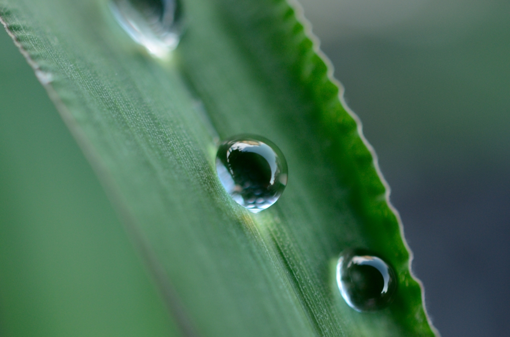 水滴