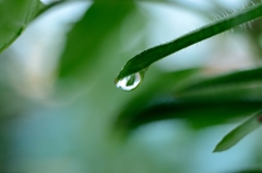 雫