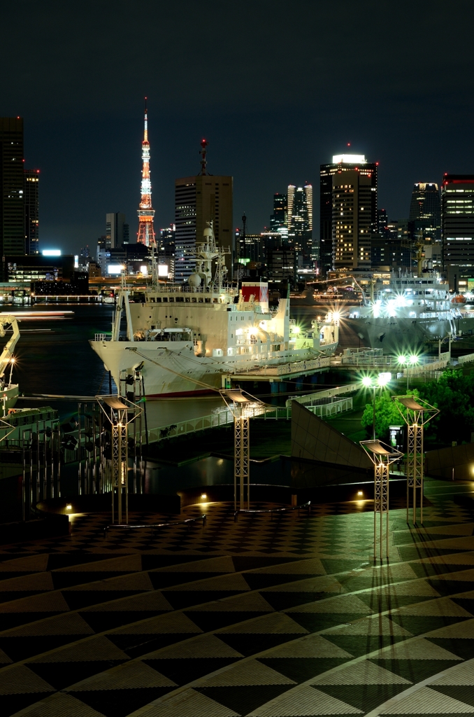 晴海ふ頭公園からの東京タワー