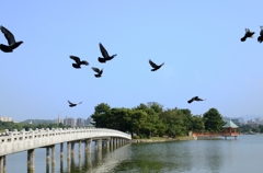 大濠公園