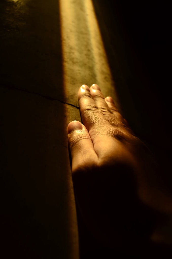 ヒカリに向けて