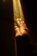 ヒカリに向けて