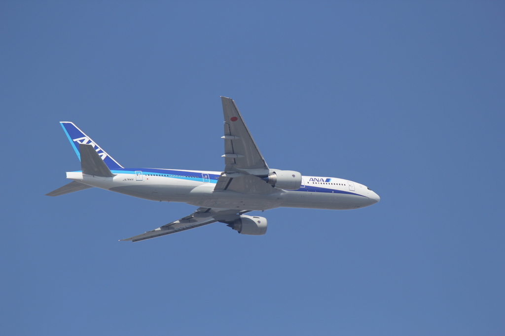 初　飛行機