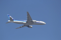 初　飛行機