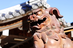 由加神社の狛犬