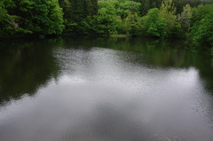 P1007998