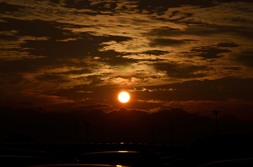DSC_2995