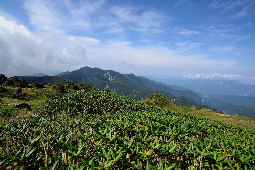 日光白根山2