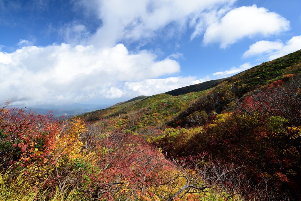 栗駒山1