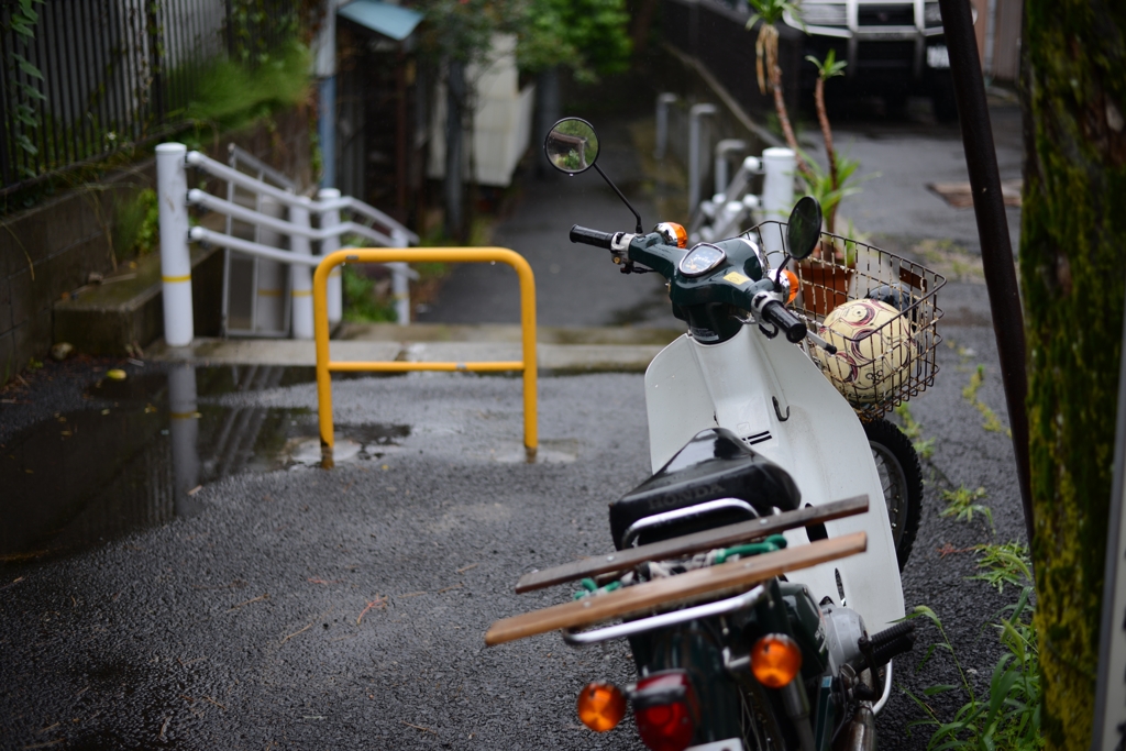 rain