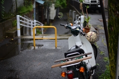 rain