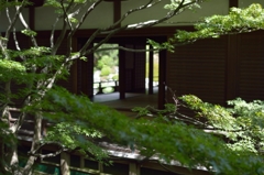青蓮院