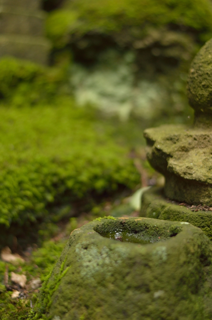 山寺Ⅴ