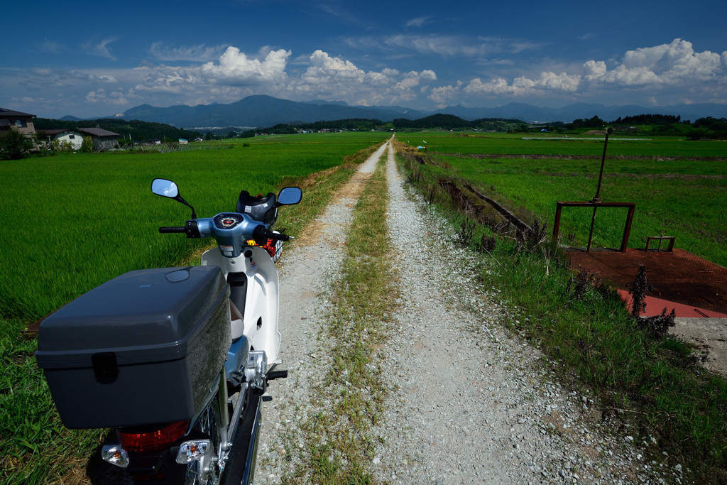 夏影-summer lights- 1
