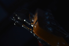 My Bass