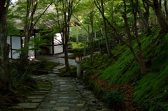 常寂光寺