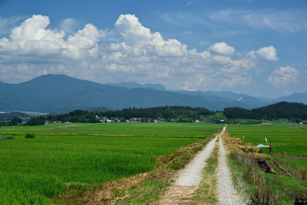 夏影-summer lights- 2
