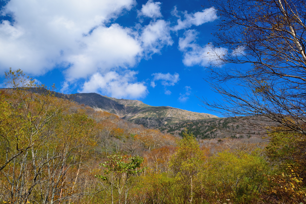 早池峰山8