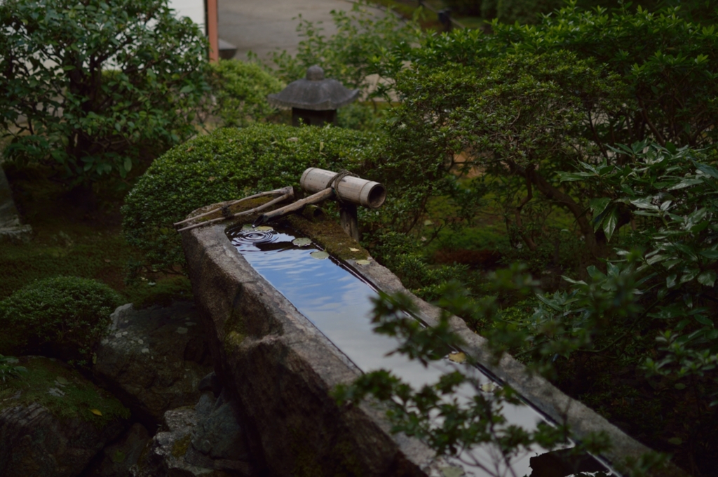 青蓮院Ⅱ