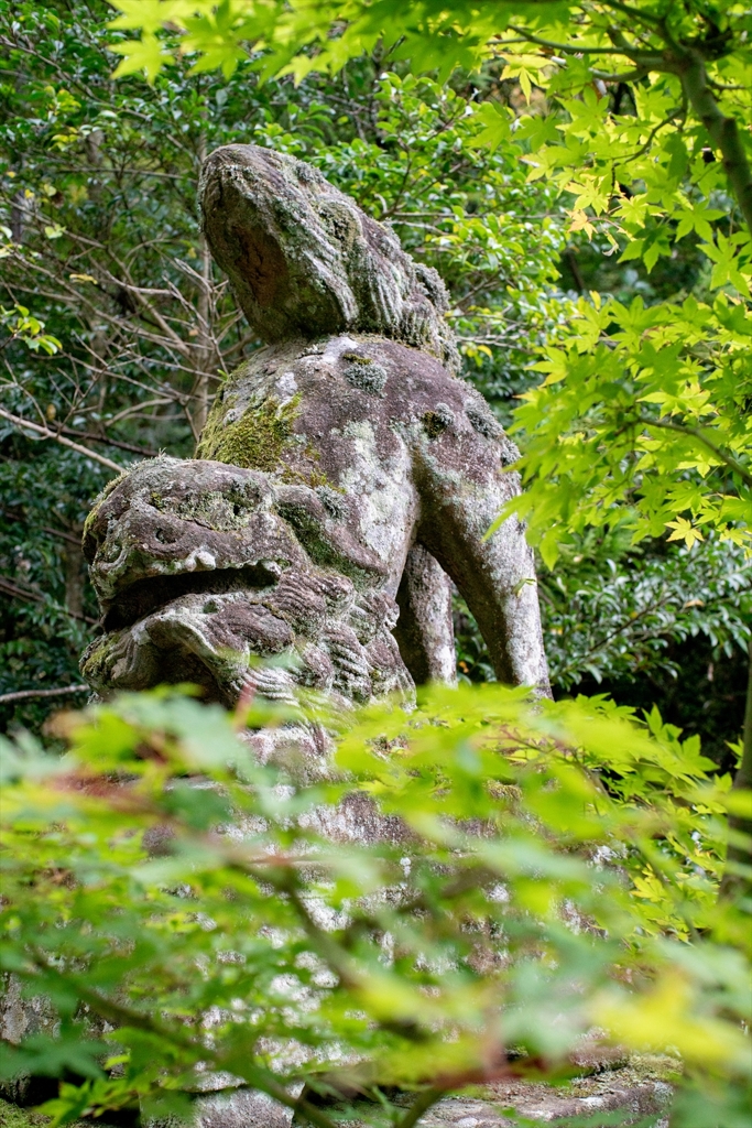 神戸・出雲 旅行 備忘録 (83)