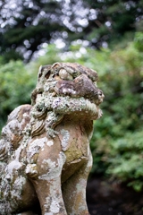 神戸・出雲 旅行 備忘録 (59)