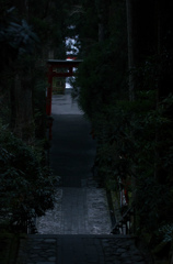 箱根神社 (2)